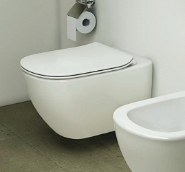 Фото Крышка-сиденье Ideal Standard Tesi T352701 с микролифтом, петли хром
