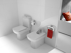 Фото Унитаз-компакт Roca Dama Senso 342517000 без бачка и сиденья