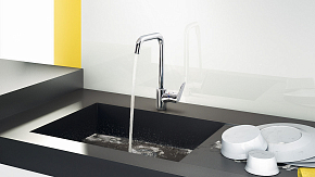 Фото Смеситель Hansgrohe Focus 31820800 для кухонной мойки