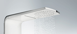 Душевая панель Hansgrohe Raindance 27008000 , изображение 5