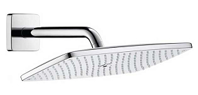 Фото Верхний душ Hansgrohe Raindance 27371000