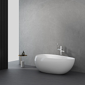 Акриловая ванна Black&White Swan 227SB00 170x95 , изображение 7