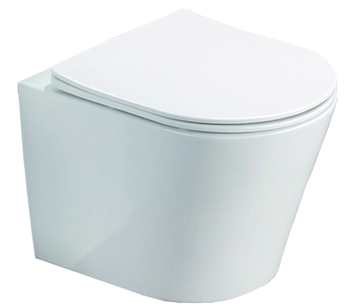 Унитаз подвесной Azario Teramo AZ0053SP безободковый , изображение 1