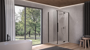 Фото Дверь для душевого уголка Kolpa San Polaris D 120 см L black