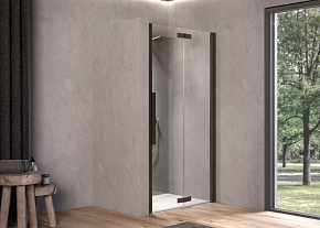 Фото Душевая дверь в нишу Kolpa San Polaris Fold N 80 см R black