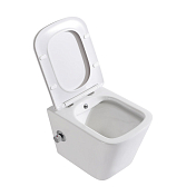 Изображение Унитаз подвесной BelBagno Due BB3103CHR-BS/SC Унитаз подвесной BelBagno Due BB3103CHR-BS/SC , изображение 5