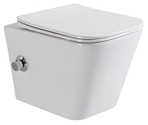 Изображение Унитаз подвесной BelBagno Due BB3103CHR-BS/SC Унитаз подвесной BelBagno Due BB3103CHR-BS/SC , изображение 1