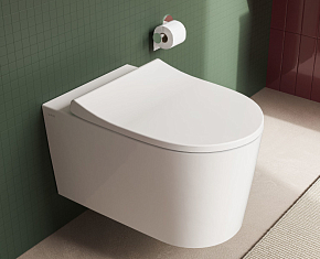 Фото Крышка-сиденье Vitra Nest 220-003R409 с микролифтом