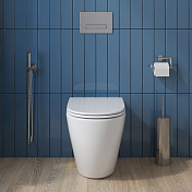 Изображение Унитаз приставной BelBagno Sfera-R BB2141CBR/BB870SC безободковый Унитаз приставной BelBagno Sfera-R BB2141CBR/BB870SC безободковый , изображение 5