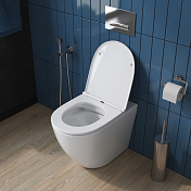 Изображение Унитаз приставной BelBagno Sfera-R BB2141CBR/BB870SC безободковый Унитаз приставной BelBagno Sfera-R BB2141CBR/BB870SC безободковый , изображение 6