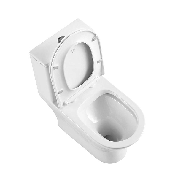 Унитаз-моноблок BelBagno Lounge BB8618CPR-MN/SC , изображение 2