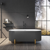 Изображение Акриловая ванна Black&White Swan SB310 170x78 Grey Акриловая ванна Black&White Swan SB310 170x78 Grey , изображение 4