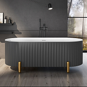 Изображение Акриловая ванна Black&White Swan SB310 170x78 Grey Акриловая ванна Black&White Swan SB310 170x78 Grey , изображение 5
